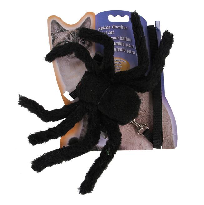 Harnais avec laisse Halloween pour chat – Araignée