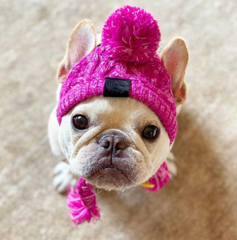 Chapeau tricoté pour chien & chat – Modèles originaux