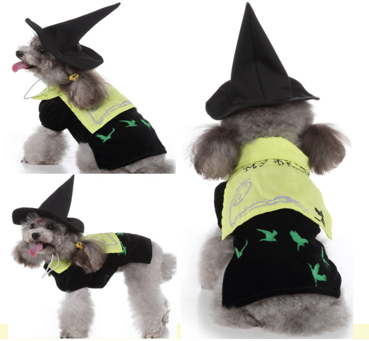 Déguisement de Noël pour chien & chat – Tenue festive