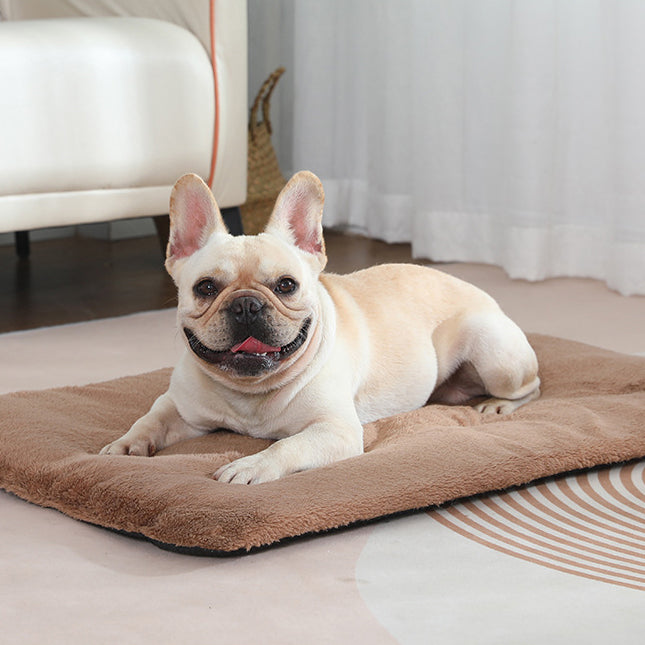 Tapis chauffant & couverture pour chien et chat – Confort