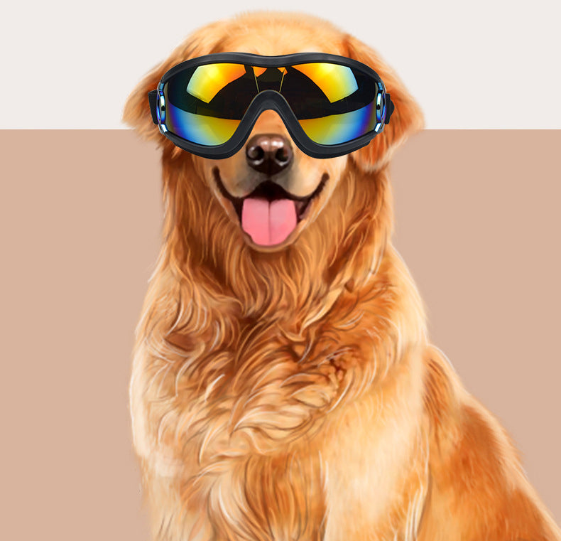 Lunettes pour chien – Protection UV & style