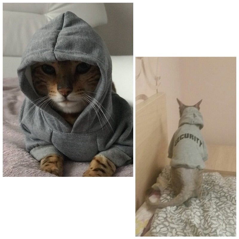 Veste chaude pour chat