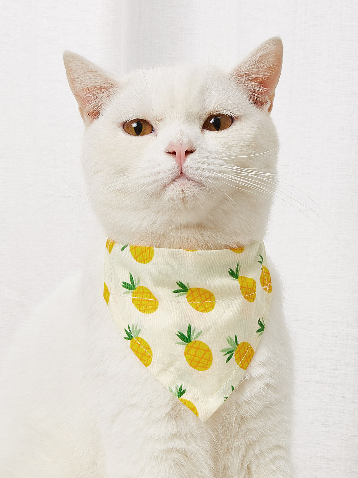 Bandana pour chien & chat – Foulard en coton
