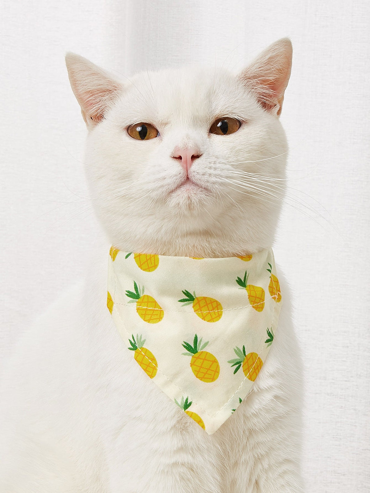 Bandana pour chien et chat – vue produit