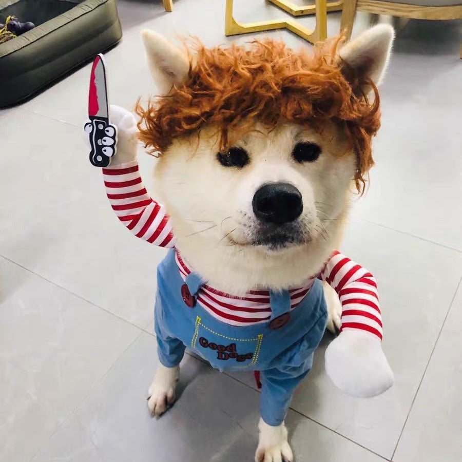 Déguisement Halloween pour petit chien – Style décalé