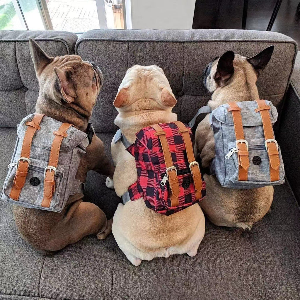 Sac à dos pour chien