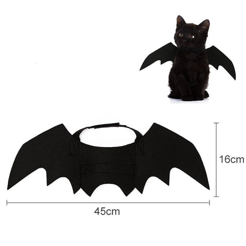 Ailes de chauve-souris Halloween pour chat