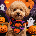 Bandana Halloween pour chien – Crâne & toile d’araignée