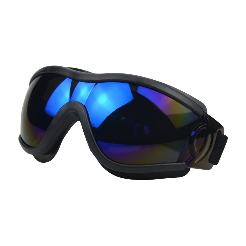 Lunettes pour chien – Protection UV & style