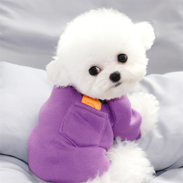 Pull chaud pour chien – Motif carotte