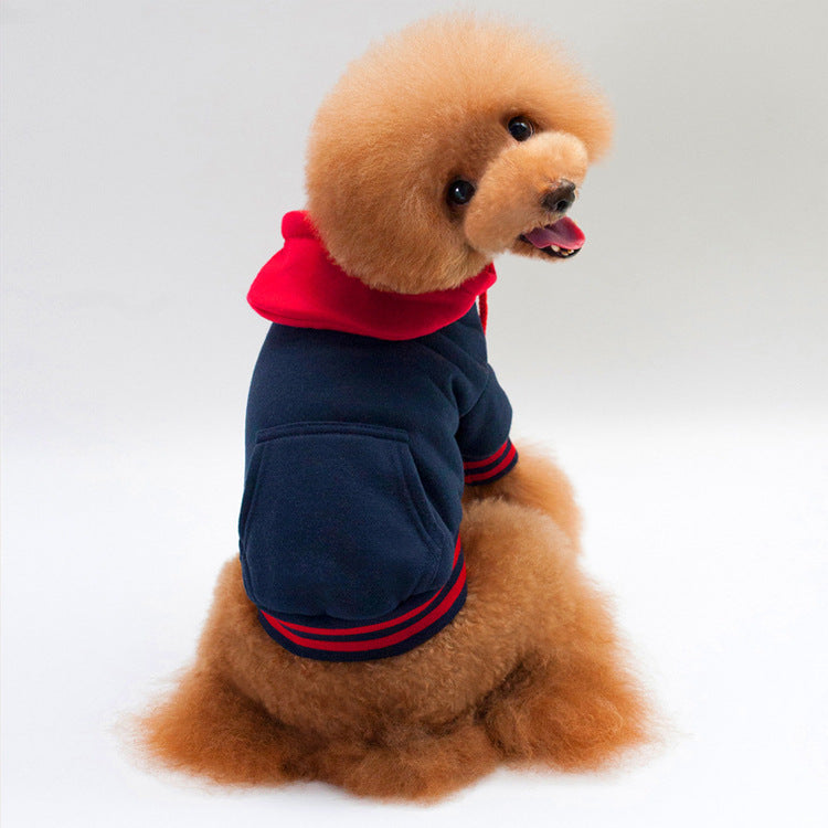 Pull en coton pour chien – Coloris contrastés