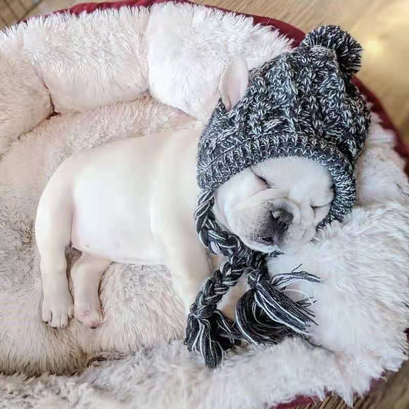 Chapeau tricoté pour chien & chat – Modèles originaux