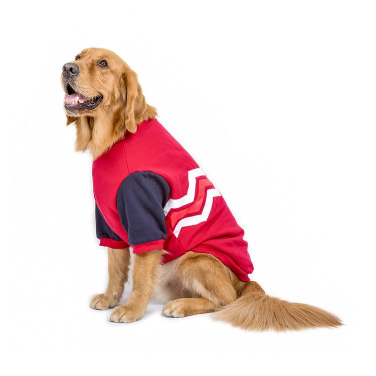 Pull en coton pour grand chien – Motif ondulé