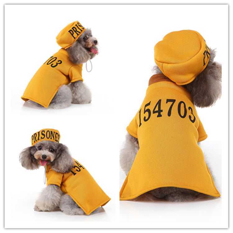 Déguisement de Noël pour chien & chat – Tenue festive