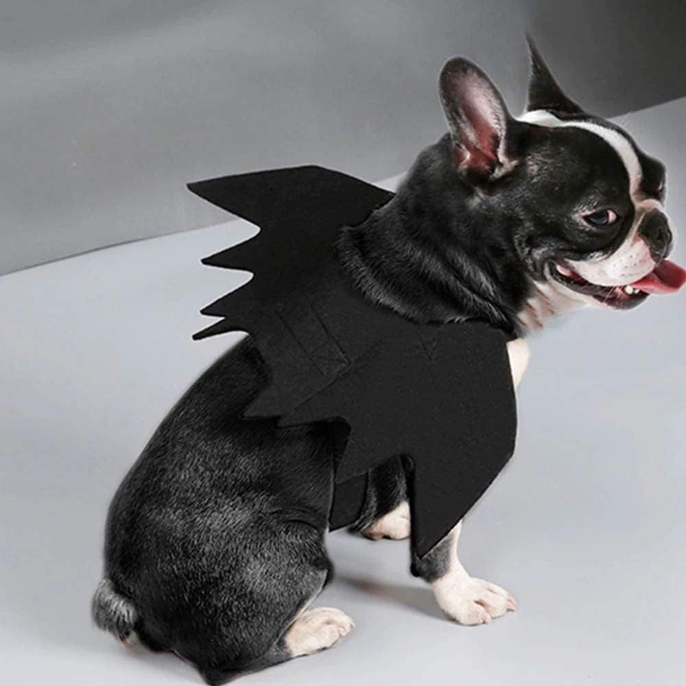 Déguisement Halloween pour chien & chat – Ailes de chauve-souris
