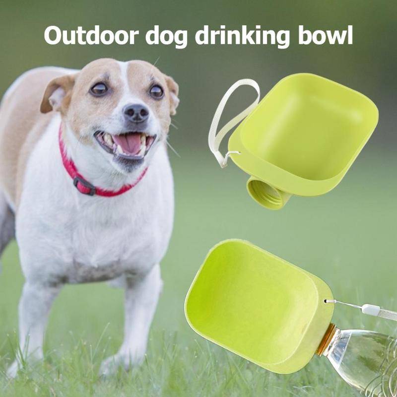 Gourde de voyage pour chien & chat – Eau & alimentation