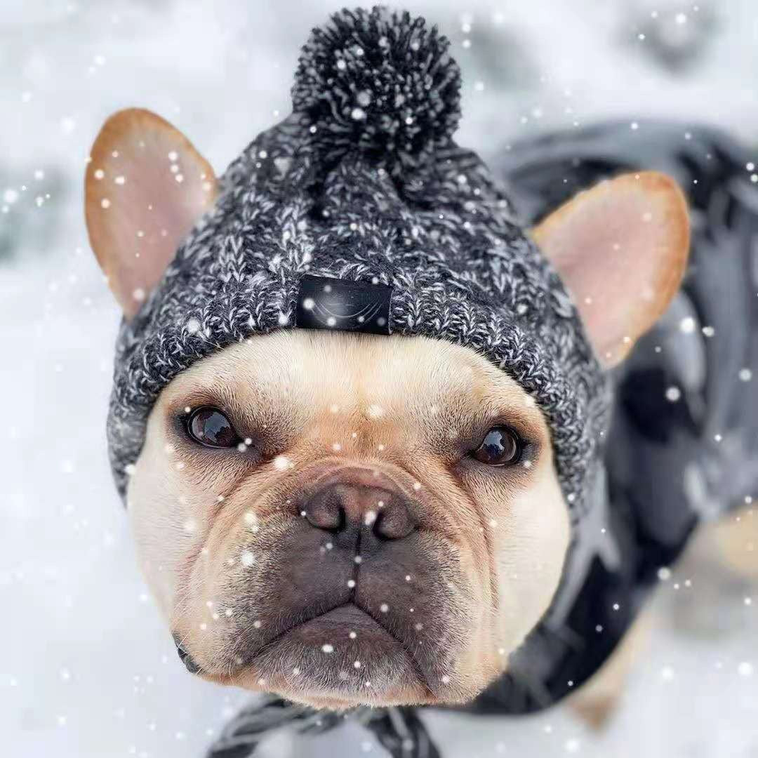 Chapeau tricoté pour chien & chat – Modèles originaux