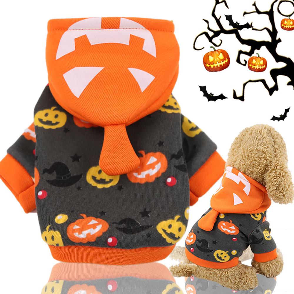 Costume Halloween pour chat et petit chien