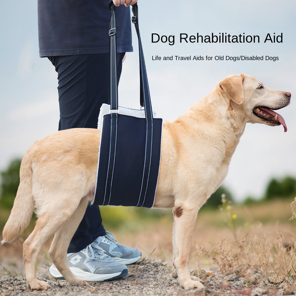Laisse d’assistance pour chien – Réglable