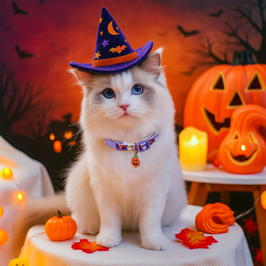 Collier Halloween pour chien & chat – Citrouille