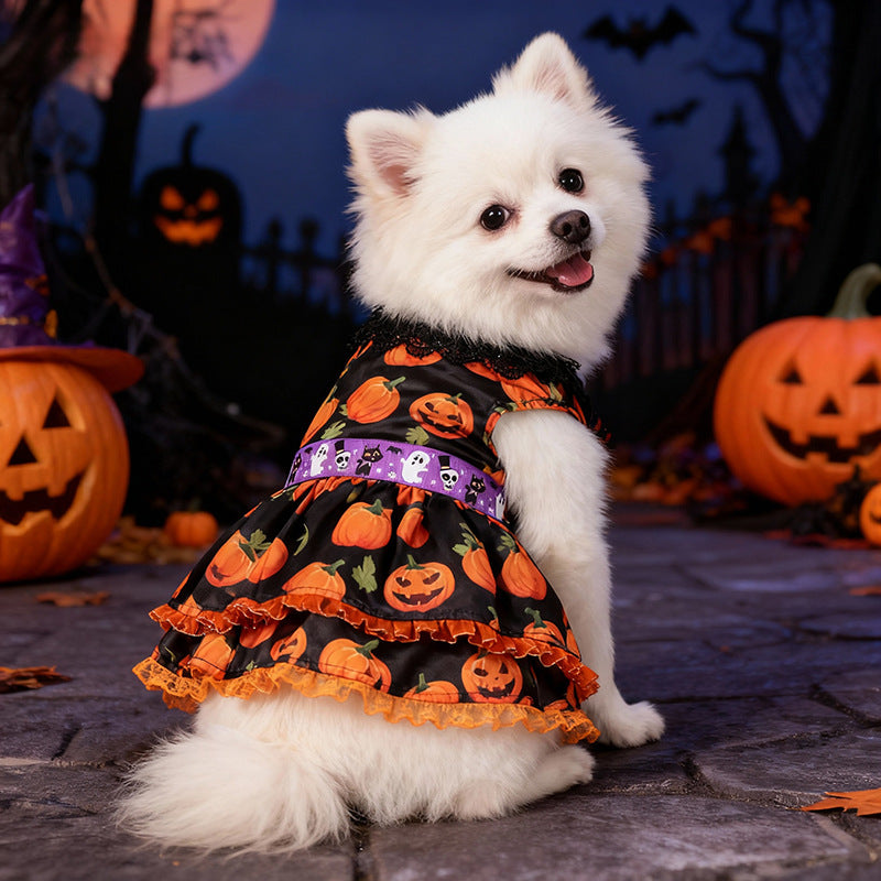 Robe Halloween pour chien – Dentelle citrouille