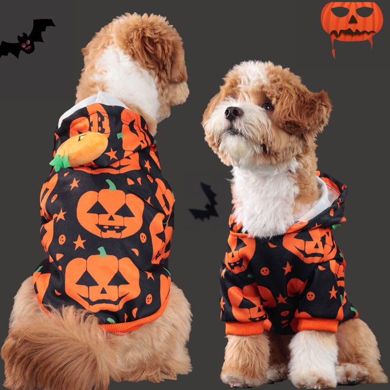Sweat à capuche Halloween pour chien – Citrouille