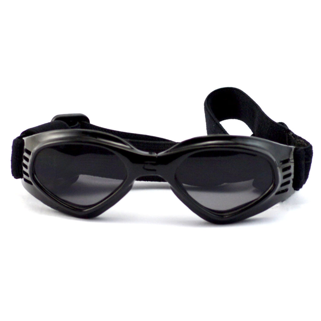 Lunettes de soleil pour chien – Protection des yeux