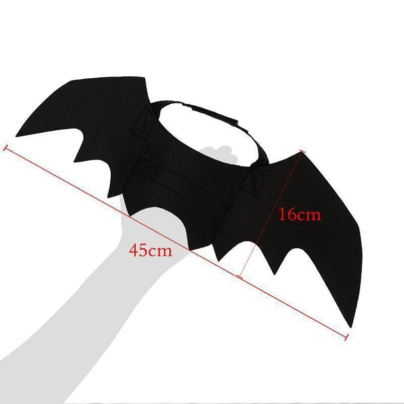 Ailes de chauve-souris Halloween pour chat