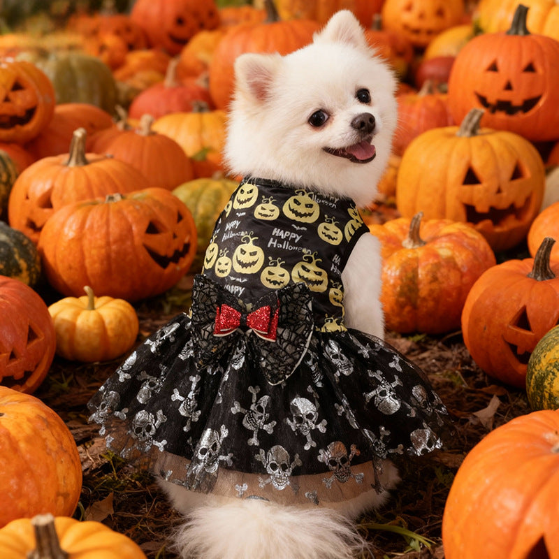 Robe Halloween pour chien – Citrouille & tête de mort