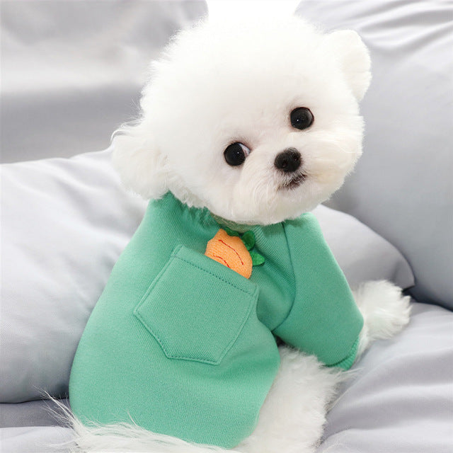 Pull chaud pour chien – Motif carotte