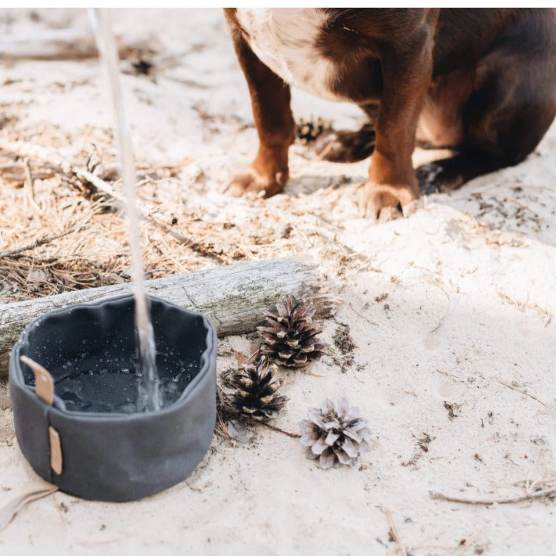 Gamelle pliable de voyage pour chien & chat