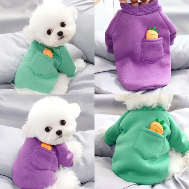 Pull chaud pour chien – Motif carotte