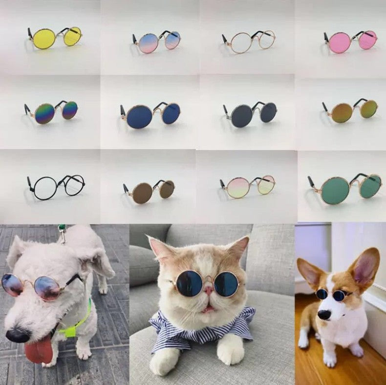 Lunettes fantaisie pour chien & chat – Accessoire insolite