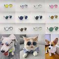 Lunettes fantaisie pour chien & chat – Accessoire insolite