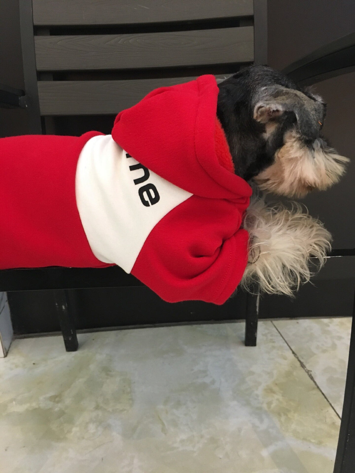 Manteau chaud pour chien – Vêtement automne & hiver