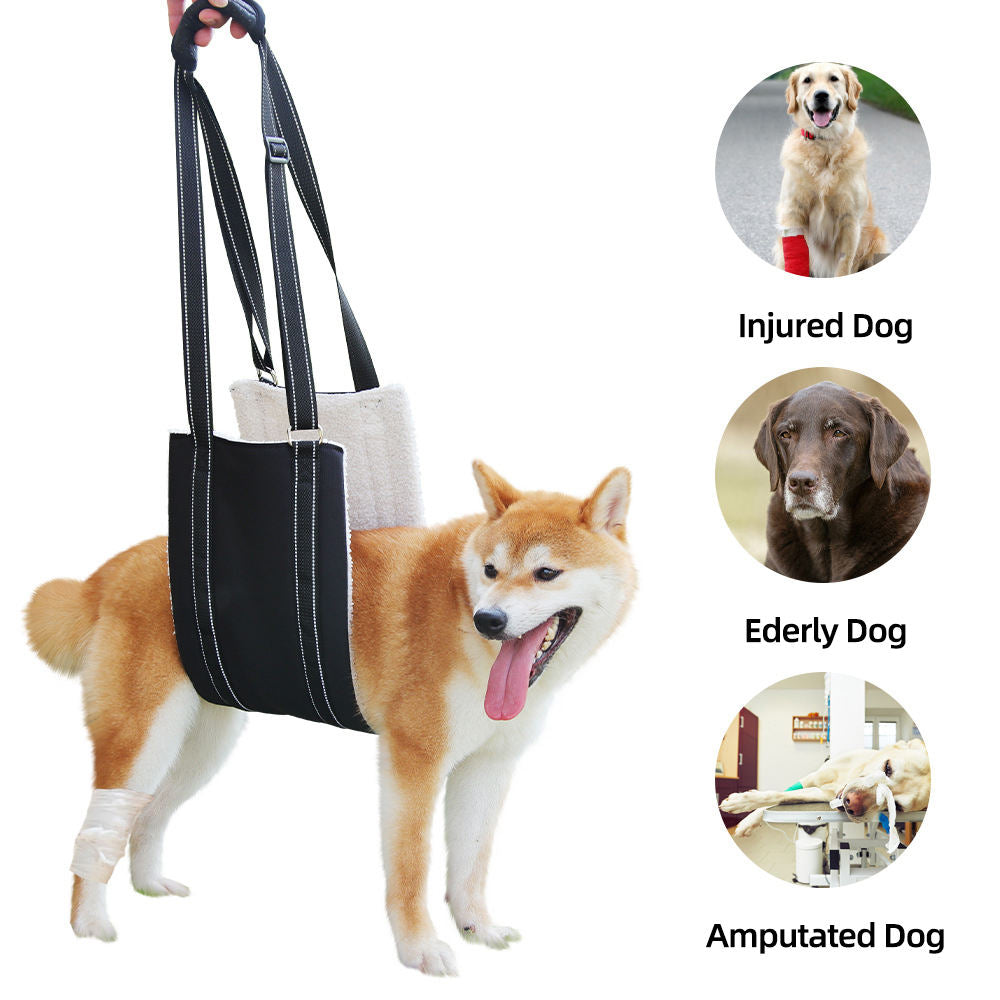 Laisse d’assistance pour chien – Réglable