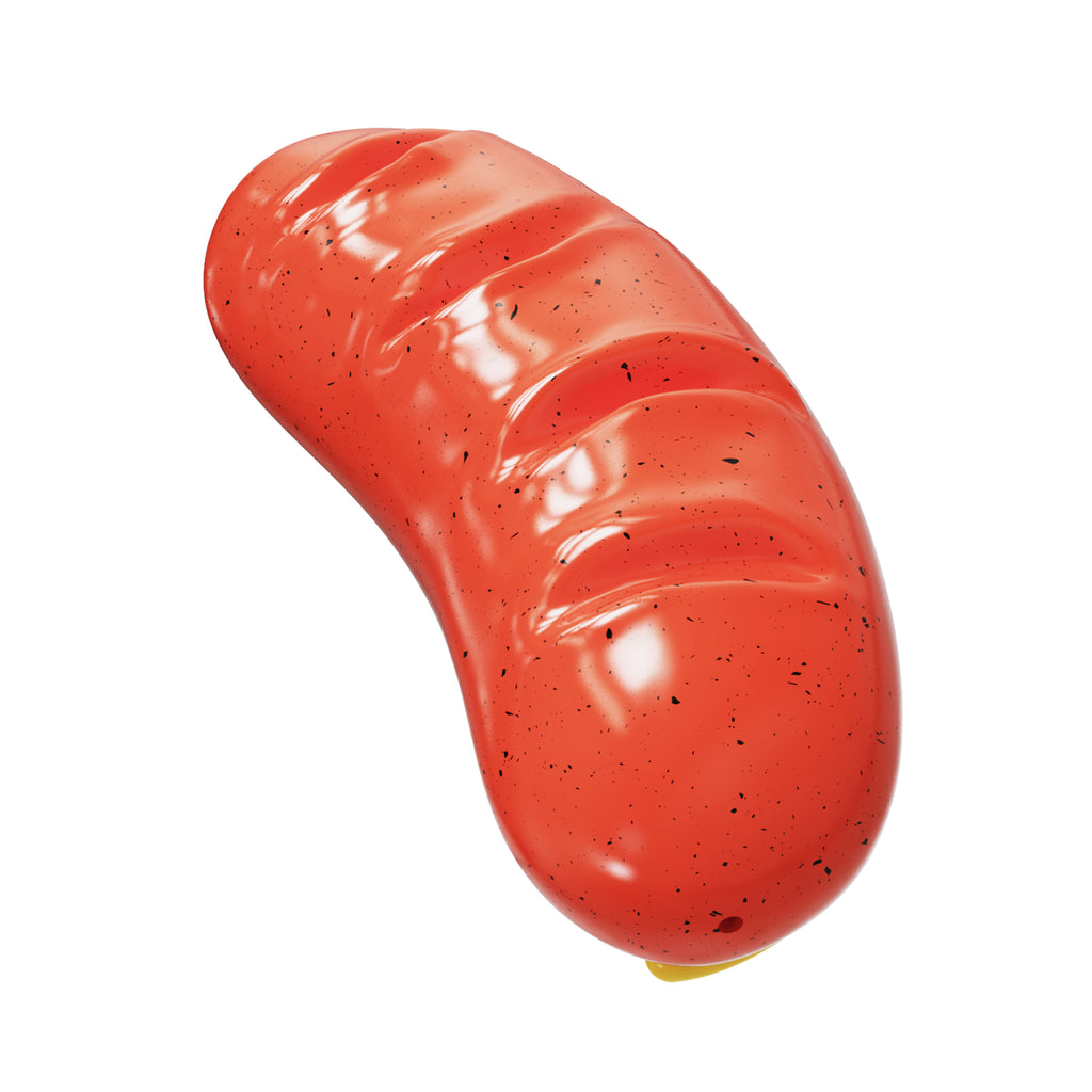Jouet à mâcher pour chien – Saucisse sonore
