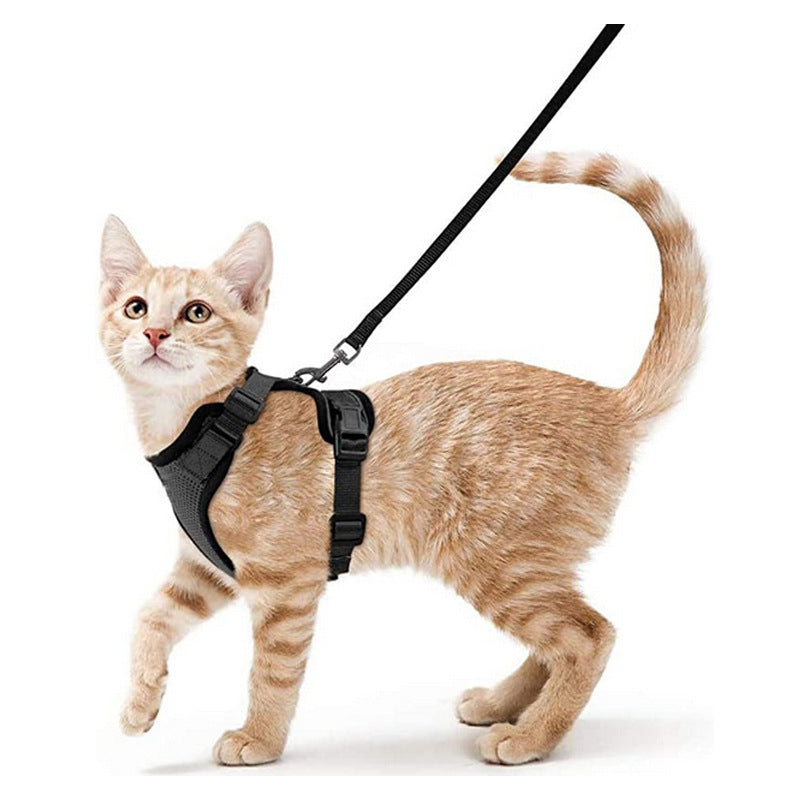 Harnais avec laisse pour chat – Réfléchissant et anti-fugue