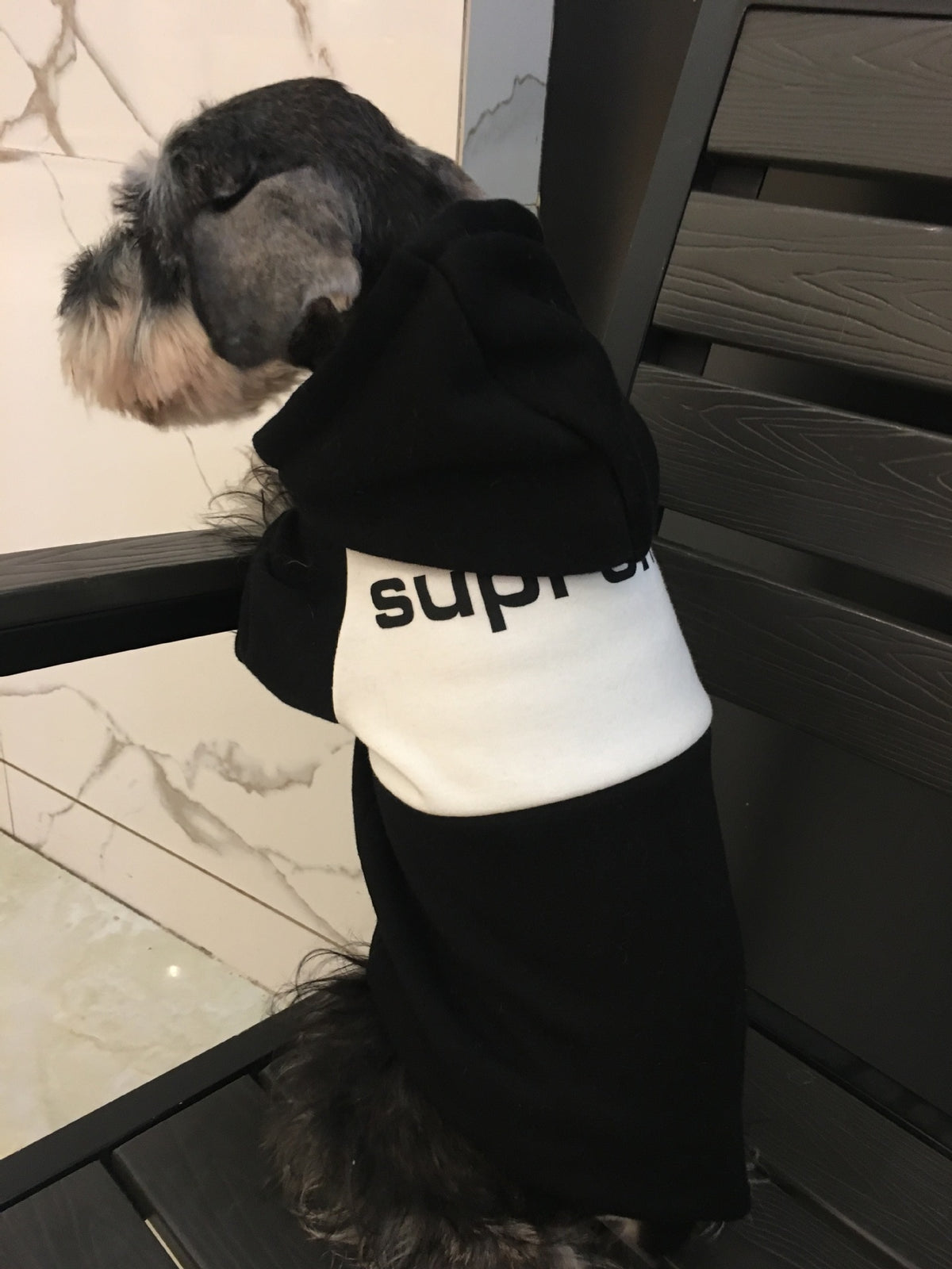 Manteau chaud pour chien – Vêtement automne & hiver