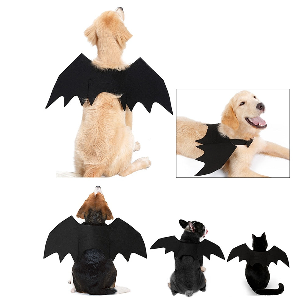Ailes de chauve-souris Halloween pour chien – Déguisement