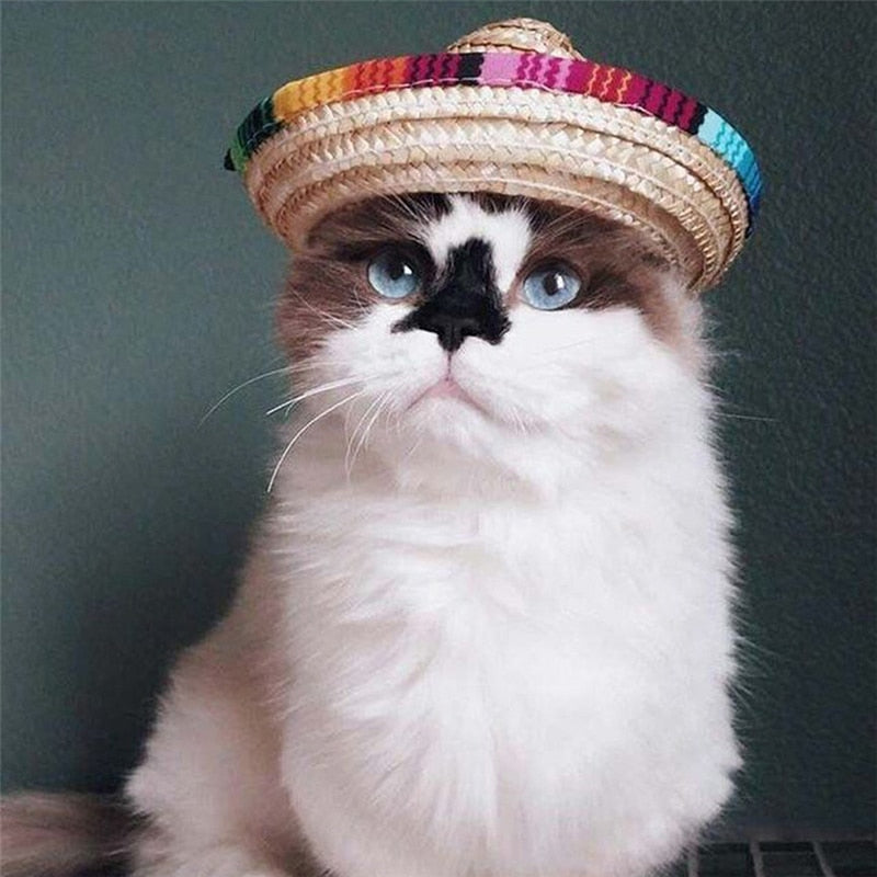 Chapeau mexicain en paille pour chien & chat