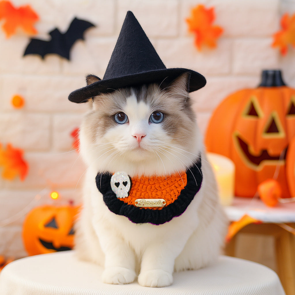 Bandana Halloween pour chien & chat – Motifs festifs