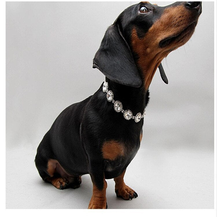 Collier perles & strass pour chien et chat – Élégant