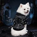 Cape Halloween pour chien – Toile d’araignée