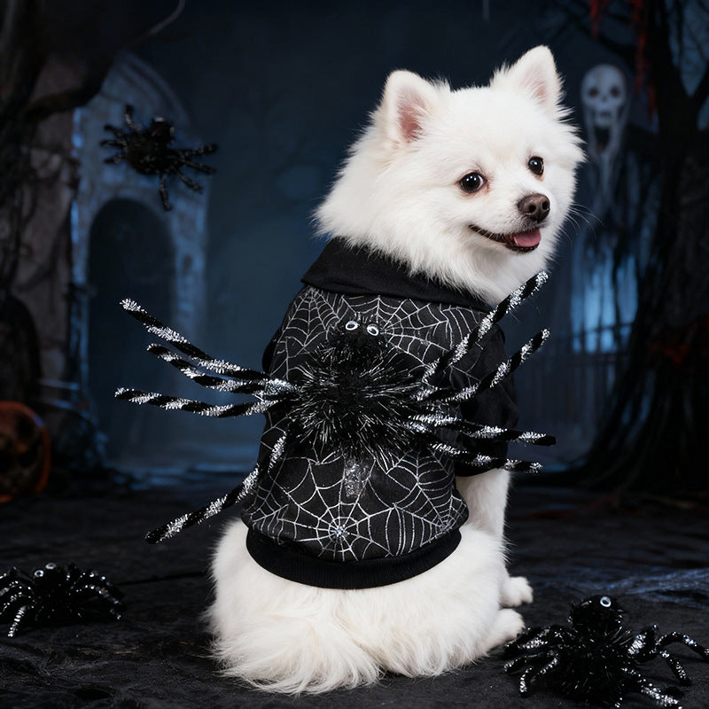 Cape Halloween pour chien – Toile d’araignée
