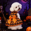 Robe Halloween pour chien – Citrouille, chauve-souris & fantôme