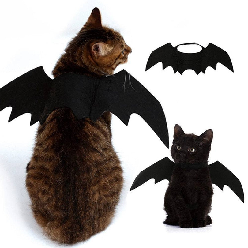 Ailes de chauve-souris Halloween pour chat