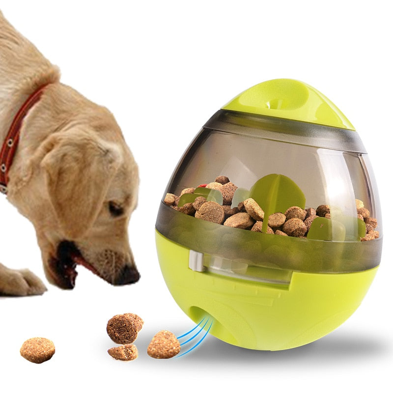 Balle interactive distributrice de friandises pour chien
