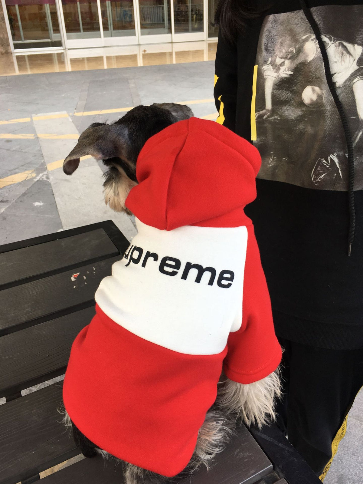 Manteau chaud pour chien – Vêtement automne & hiver