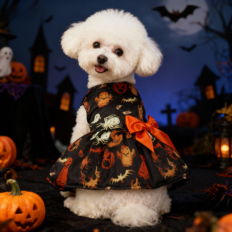 Robe Halloween pour chien – Citrouille & chauve-souris